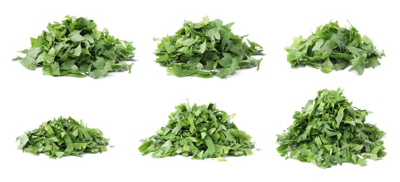 Image of Set with heaps of cut parsley isolated on white