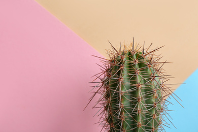 Photo of Beautiful cactus plant on color background, closeup. Space for text