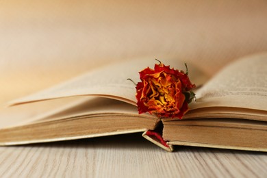 Book with beautiful dried flower on wooden table, closeup