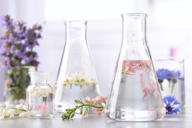 Photo of Laboratory glassware with different flowers on light table. Essential oil extraction