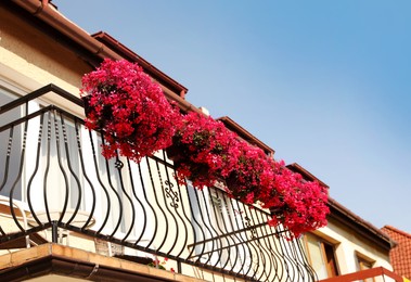 Photo of Balcony decorated with blooming beautiful flowers outdoors