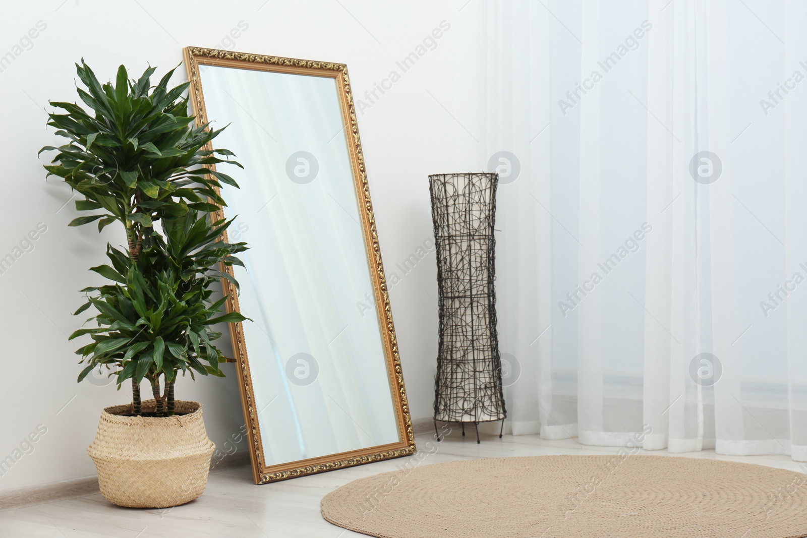 Photo of Modern interior with large mirror and dracaena plant