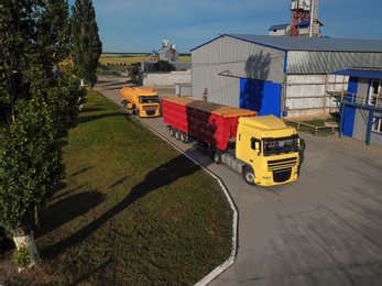 Modern bright trucks parked on country road