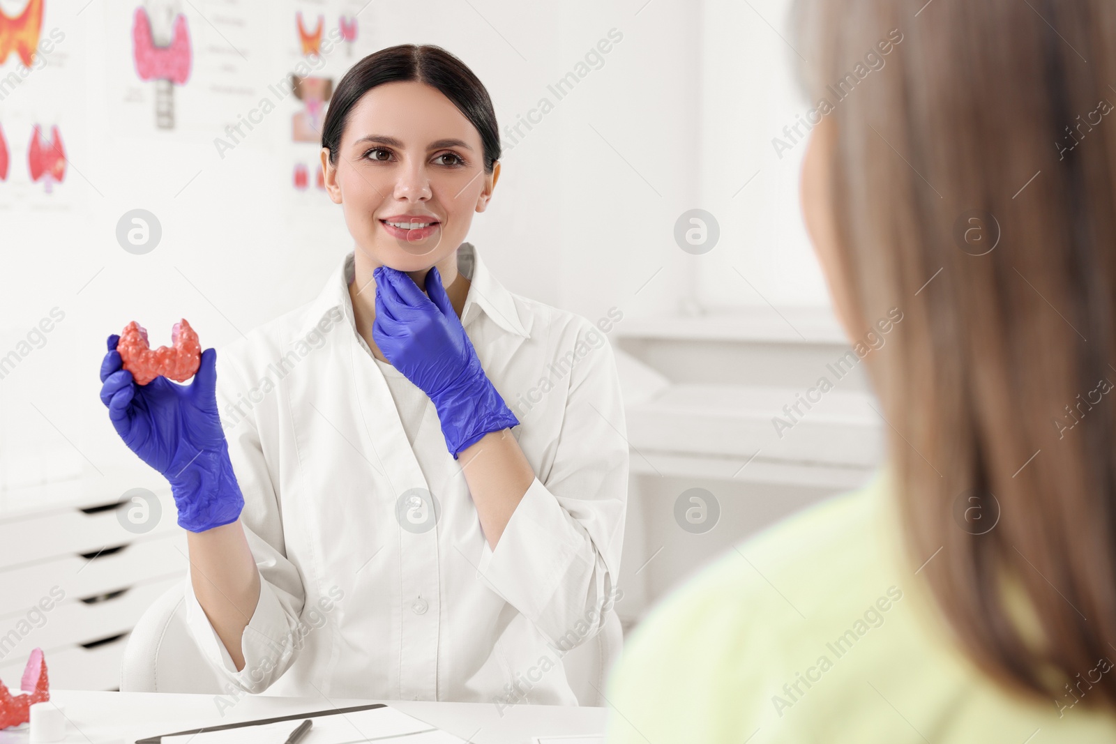 Photo of Endocrinologist showing thyroid gland model to patient at table in hospital