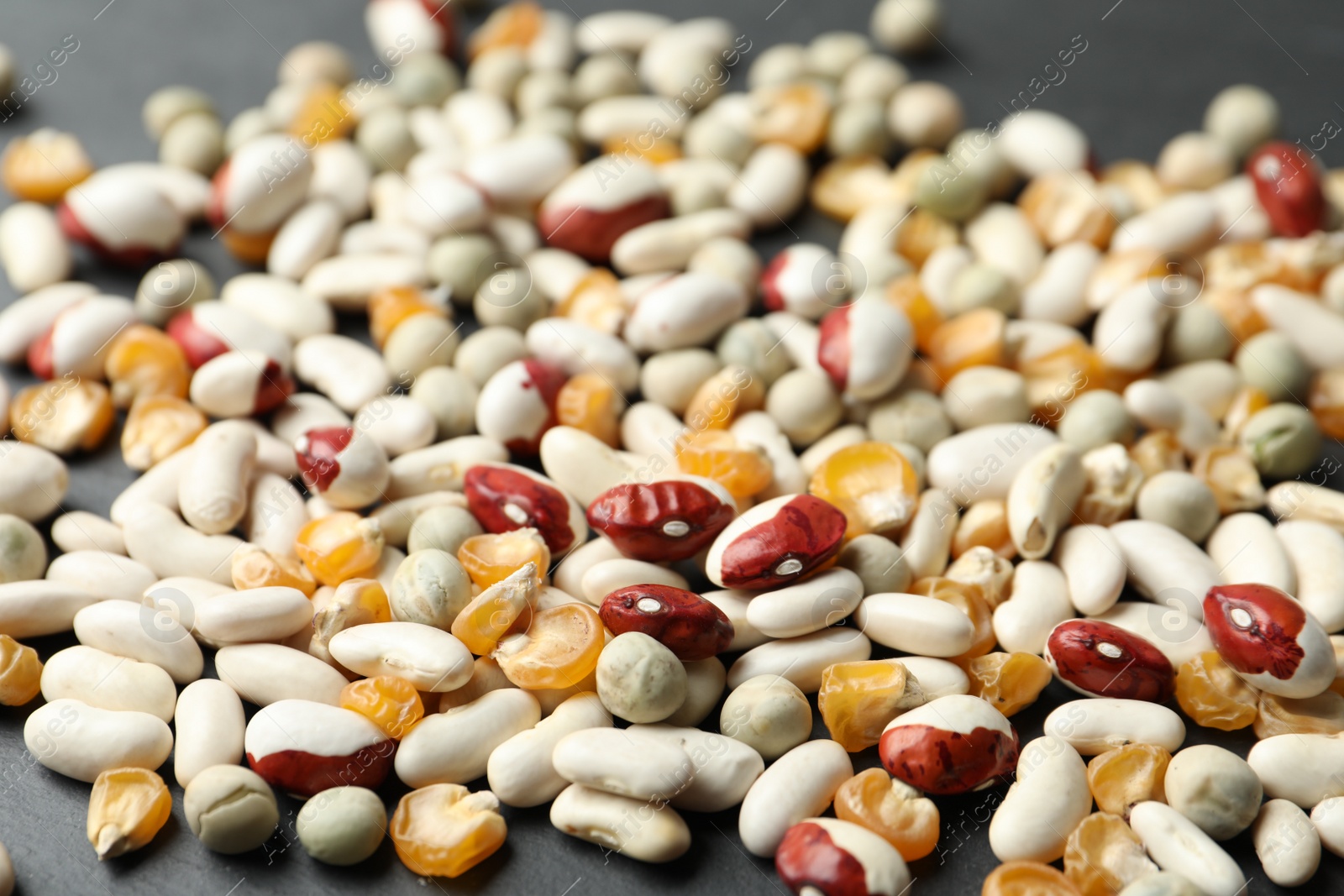 Photo of Mixed vegetable seeds on grey background, closeup