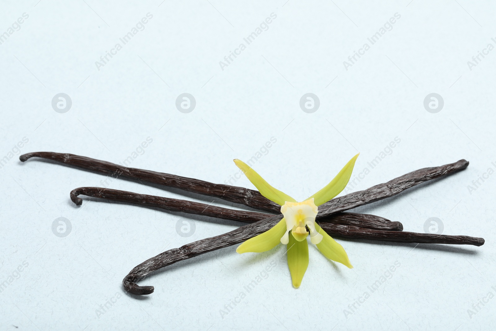 Photo of Vanilla pods and beautiful flower on light background, top view. Space for text