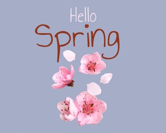 Hello Spring card. Pink flowers on grey background