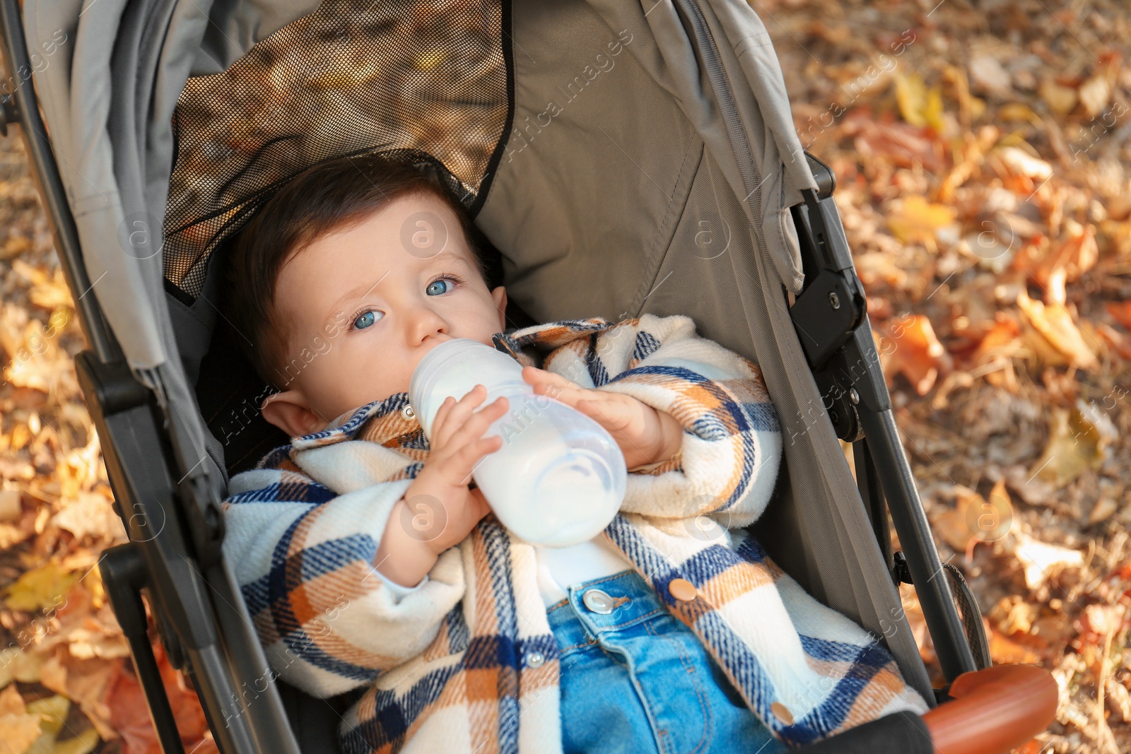 Photo of Cute little child feeding from bottle in stroller outdoors. Autumn season