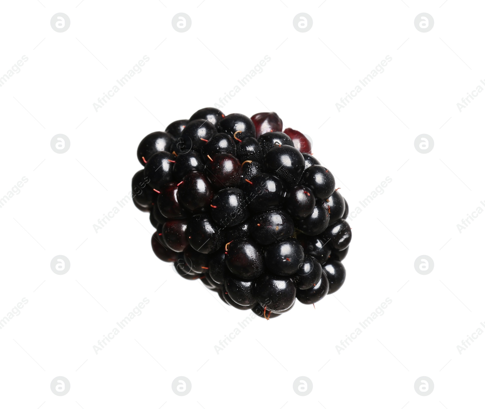 Photo of One tasty ripe blackberry isolated on white