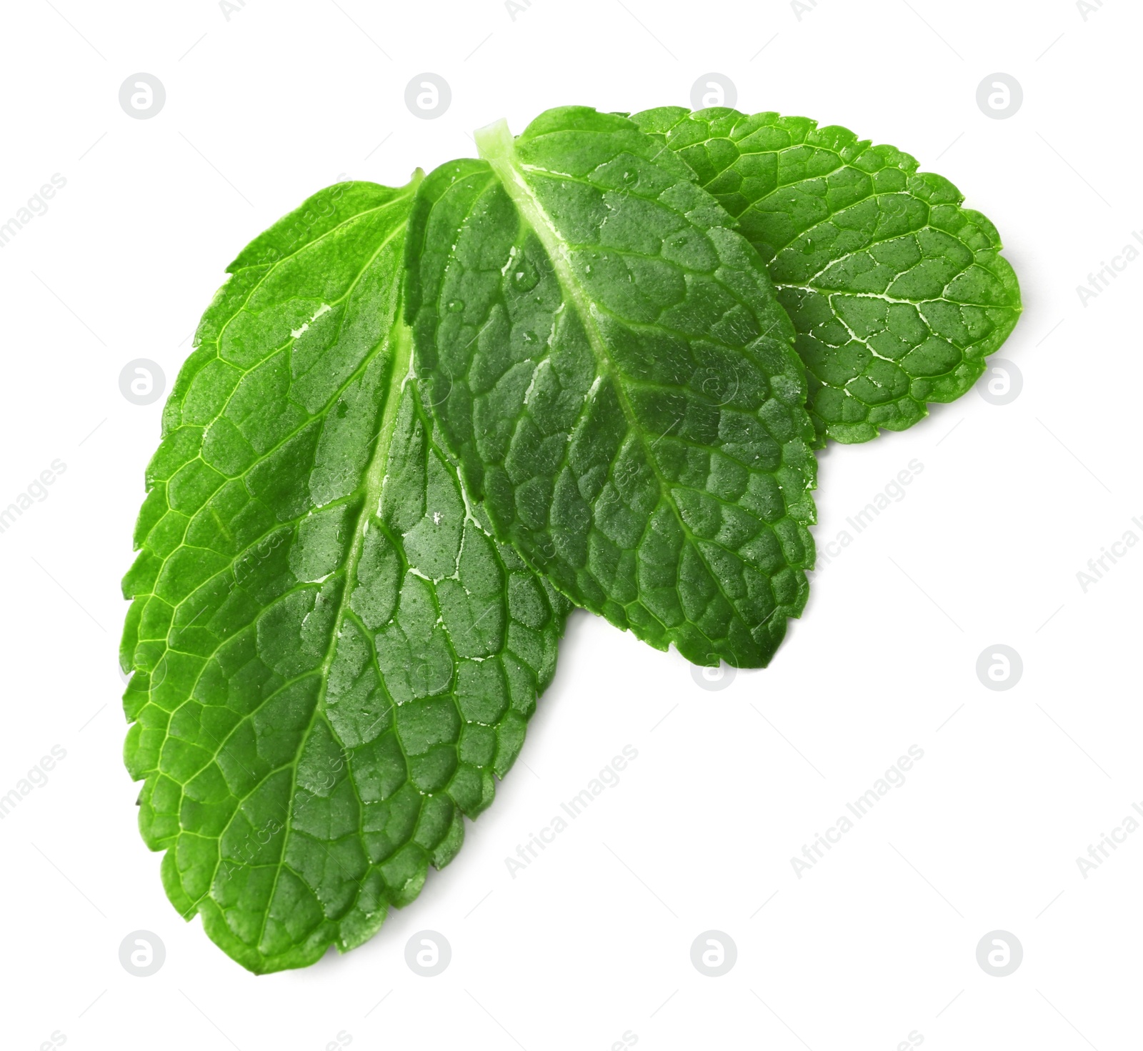 Photo of Wet leaves of fresh mint isolated on white, top view