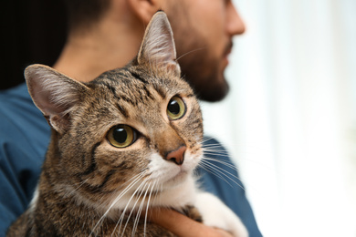 Photo of Man with cat at home, closeup. Friendly pet