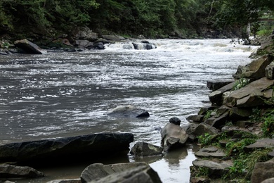 Wild mountain river flowing along rocky banks in forest