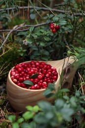 Photo of Many tasty ripe lingonberries in wooden cup outdoors