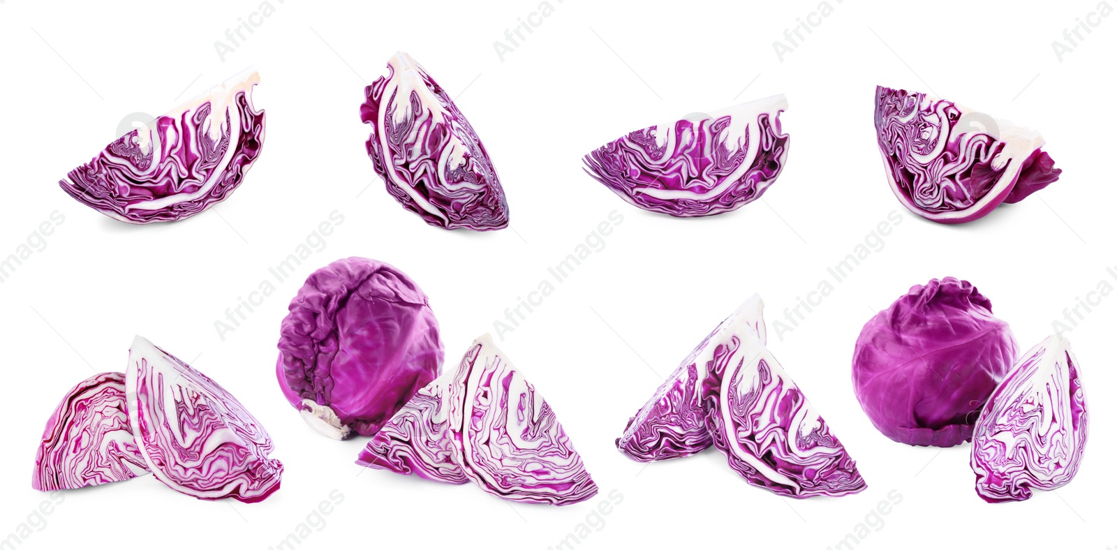 Image of Collage with fresh red cabbages on white background