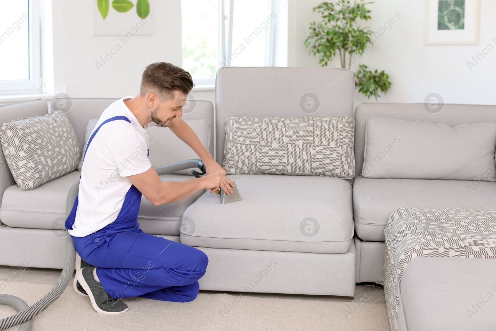 Photo of Dry cleaning worker removing dirt from sofa indoors