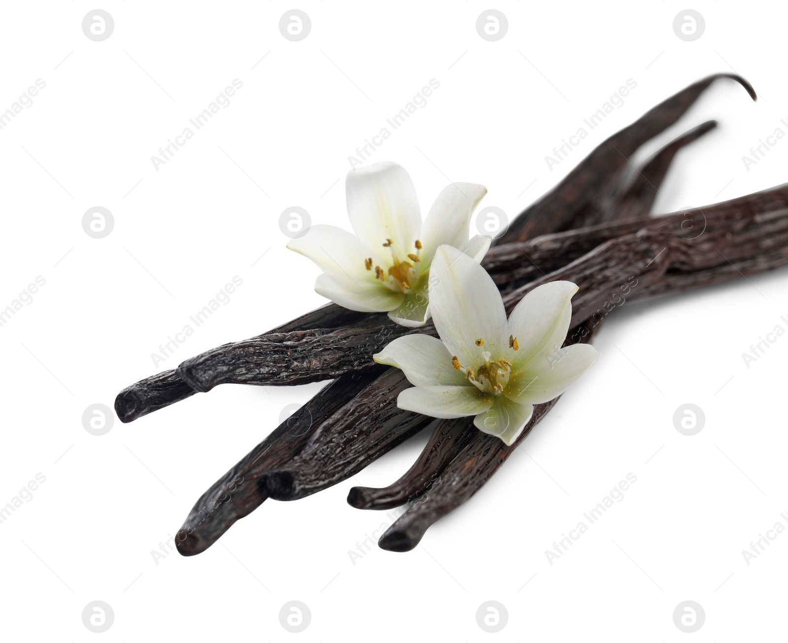 Photo of Vanilla pods and flowers isolated on white