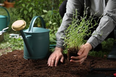 Photo of Man transplanting beautiful lavender flower into soil in garden, closeup