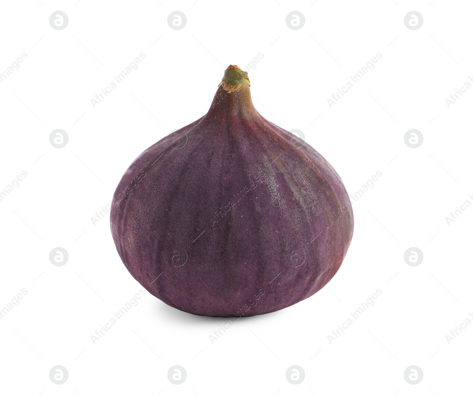 Photo of Whole ripe fresh fig isolated on white