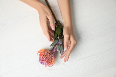 Florist holding beautiful leucospermum flower at white wooden table, top view