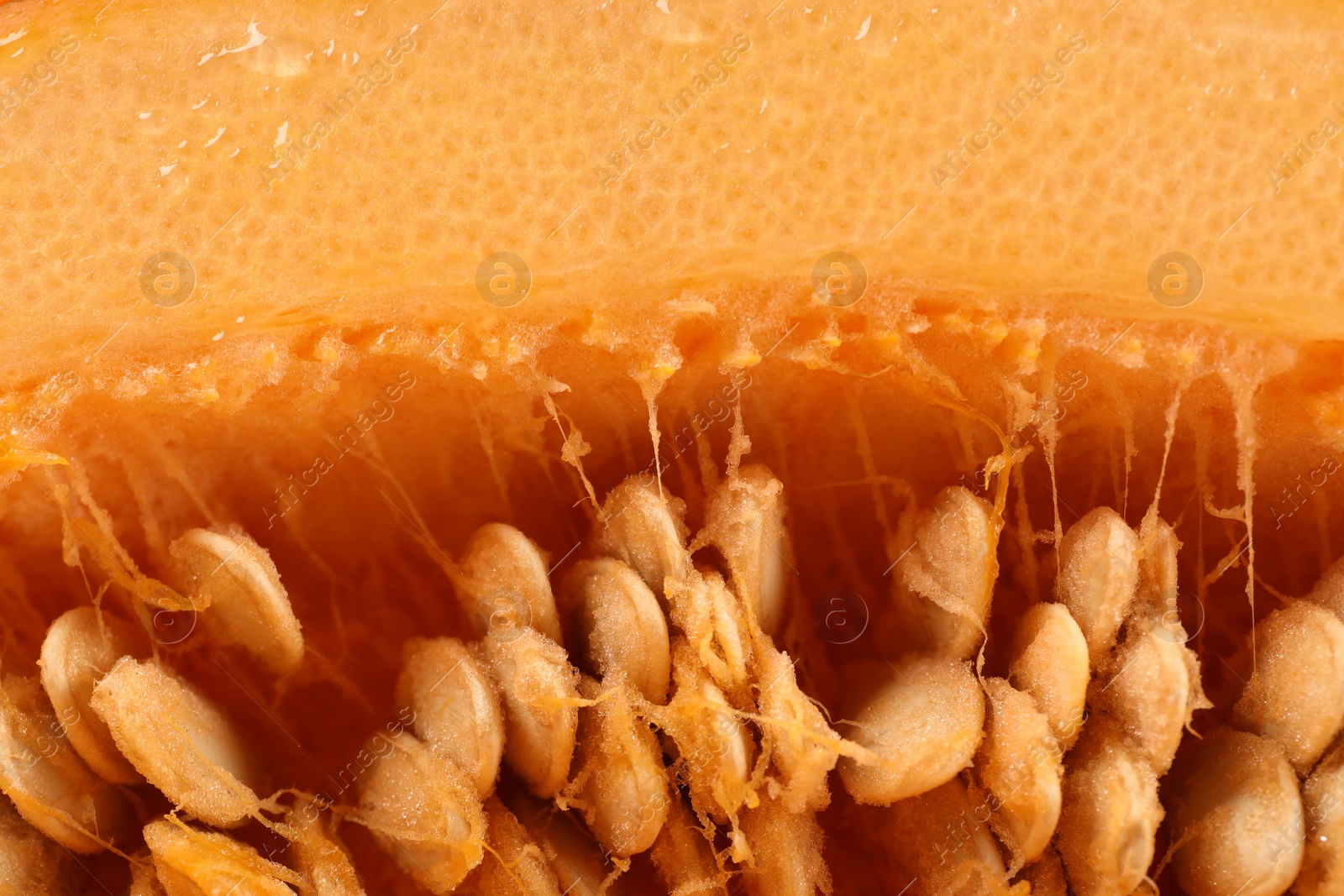 Photo of Cut fresh ripe pumpkin with seeds as background, closeup