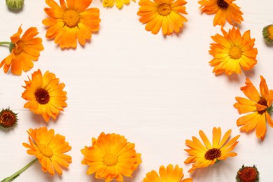 Frame made of beautiful fresh calendula flowers on white wooden table, flat lay. Space for text