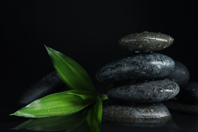 Photo of Stones and bamboo sprout in water on black background. Zen lifestyle