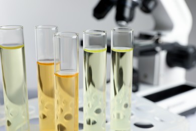 Photo of Tubes with urine samples for analysis in laboratory, closeup