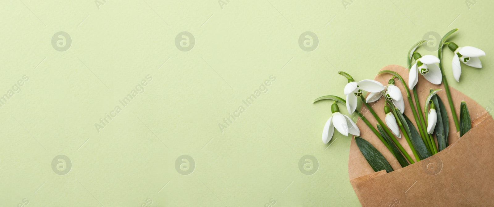 Photo of Beautiful snowdrops in envelope on light green background, top view. Space for text