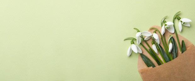 Beautiful snowdrops in envelope on light green background, top view. Space for text