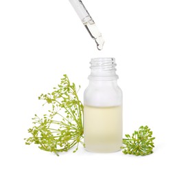 Dripping dill essential oil from pipette into bottle isolated on white