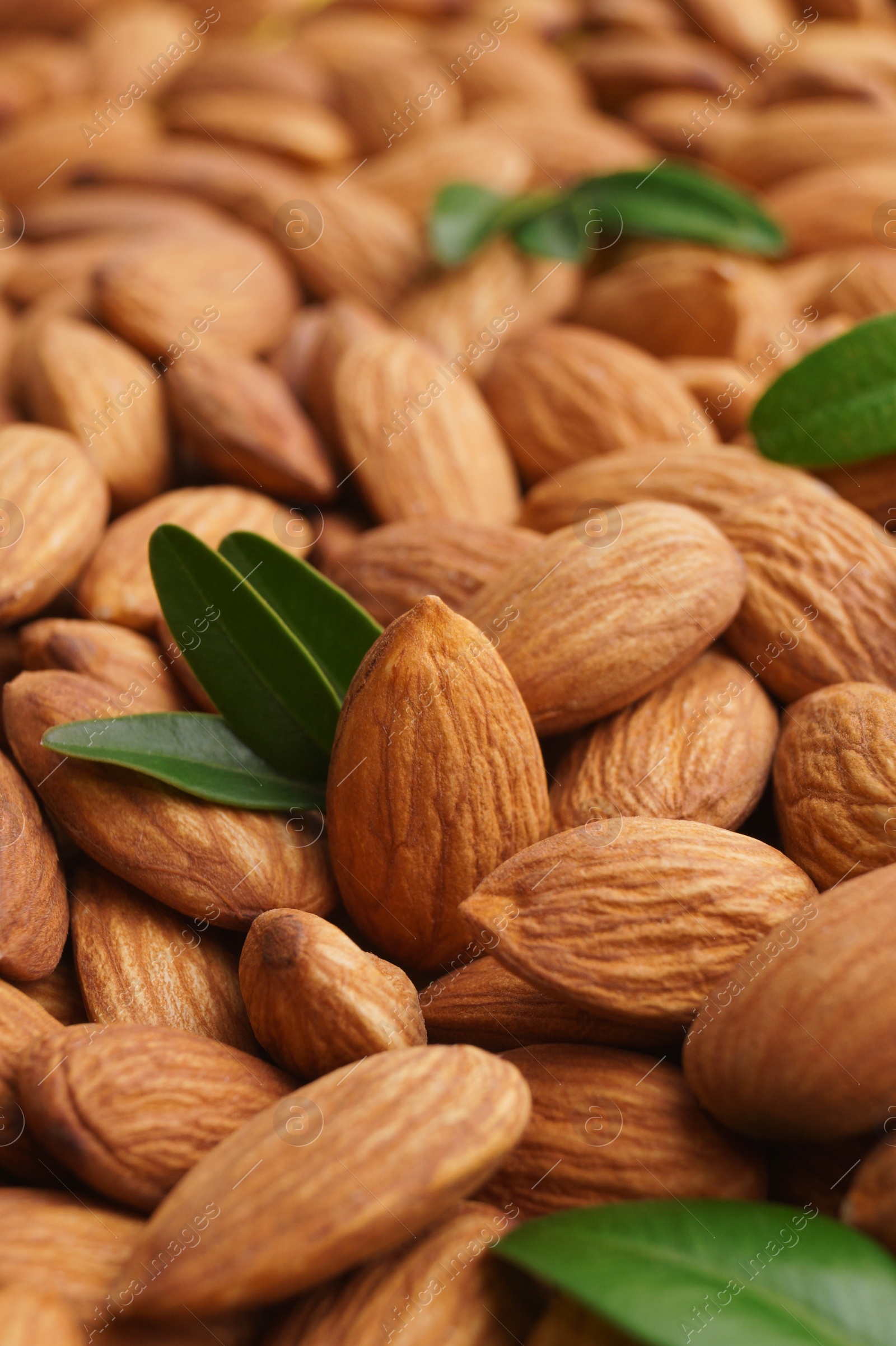 Photo of Many delicious almonds and fresh leaves as background, closeup