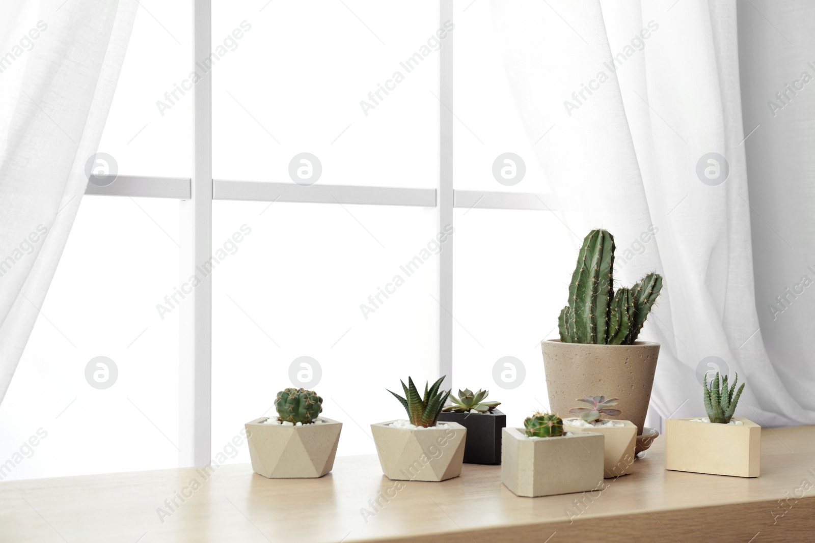 Photo of Different plants in pots on window sill, space for text. Home decor