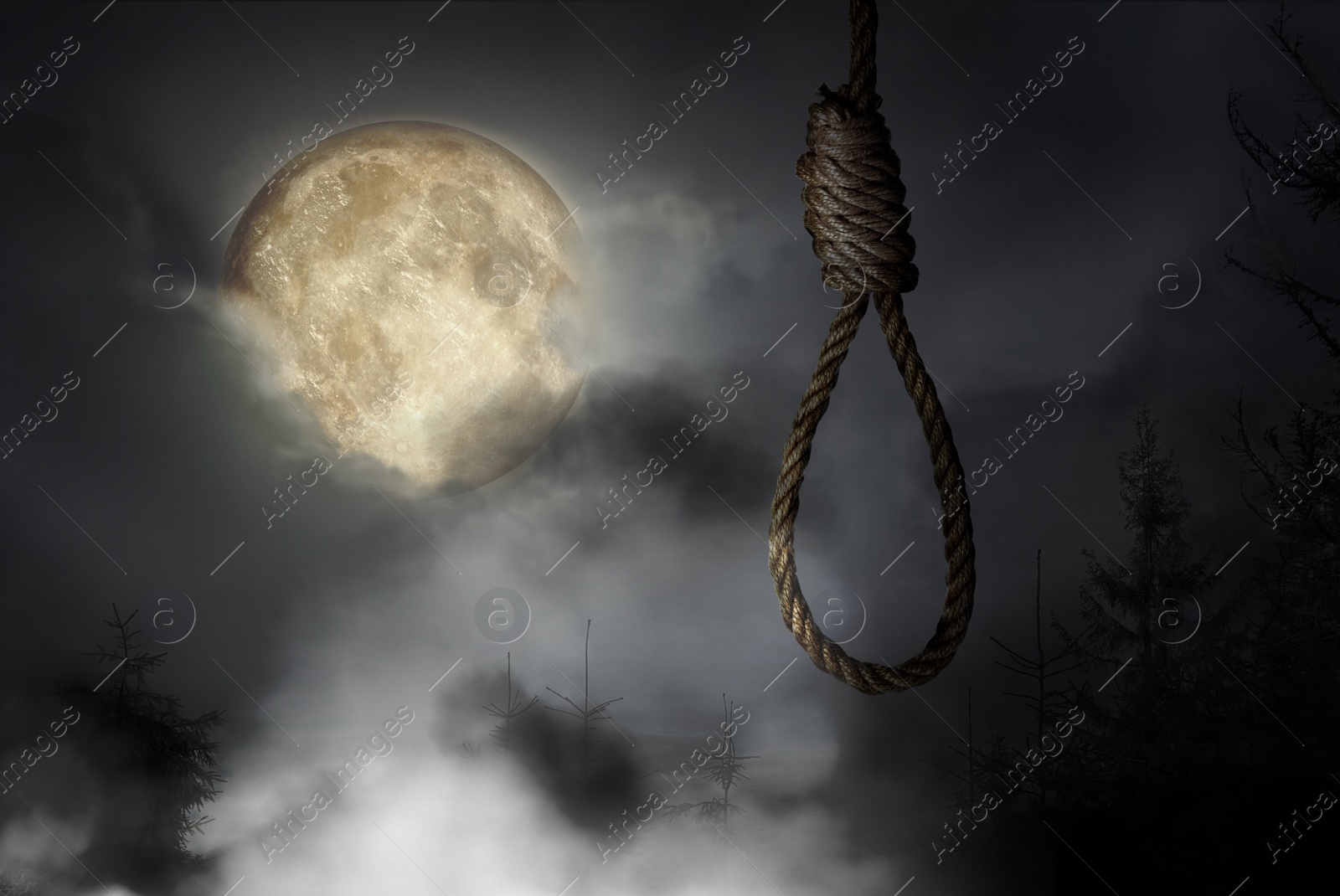 Image of Rope noose with knot outdoors on full moon night