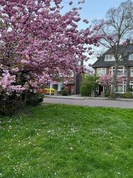 Blooming trees and private buildings on spring day