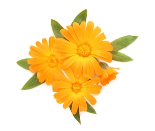 Beautiful calendula flowers with green leaves on white background, top view
