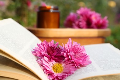 Book with chrysanthemum flowers as bookmark, closeup