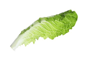 Fresh leaf of green romaine lettuce isolated on white