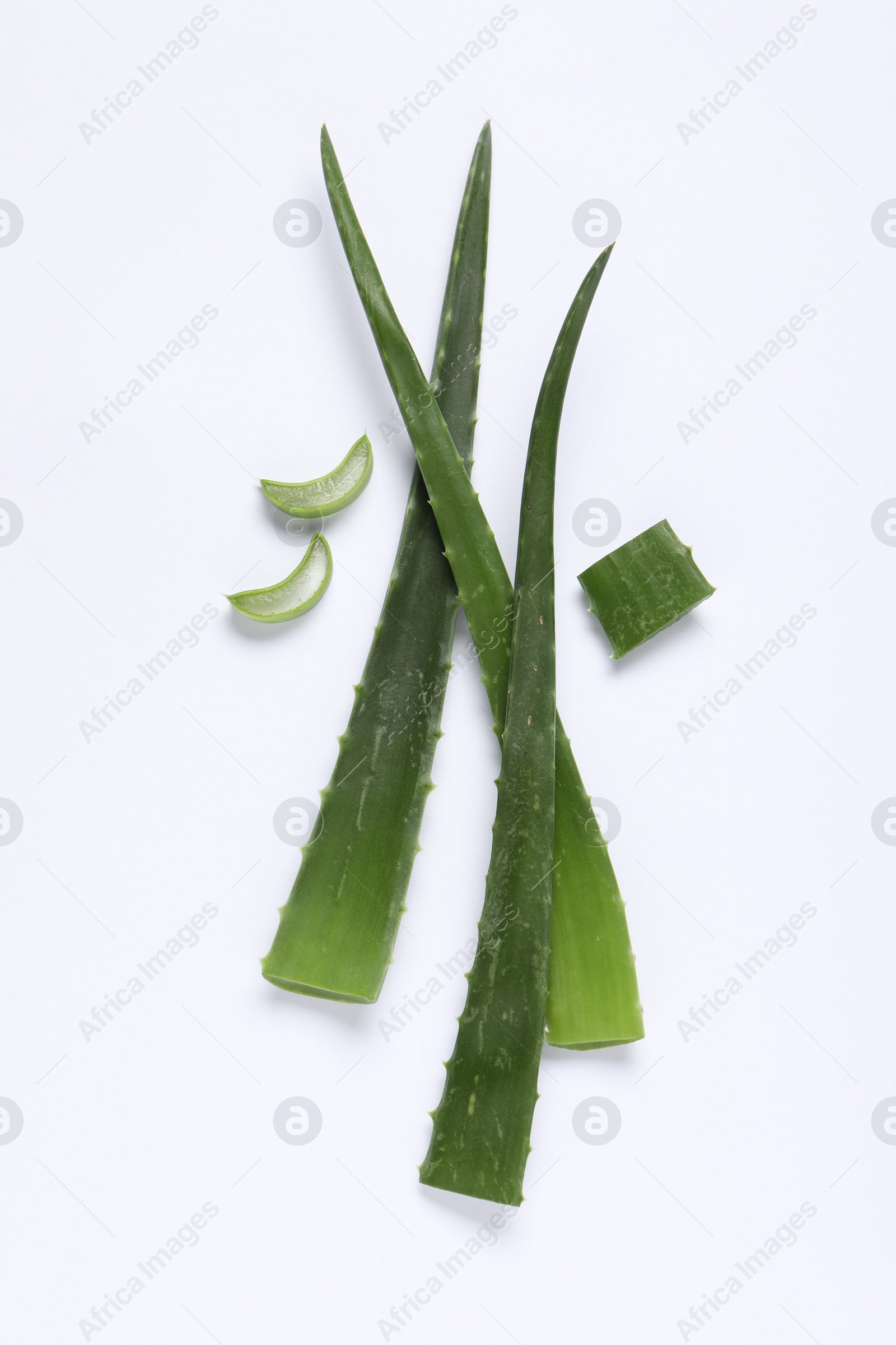 Photo of Cut aloe vera leaves on white background, flat lay