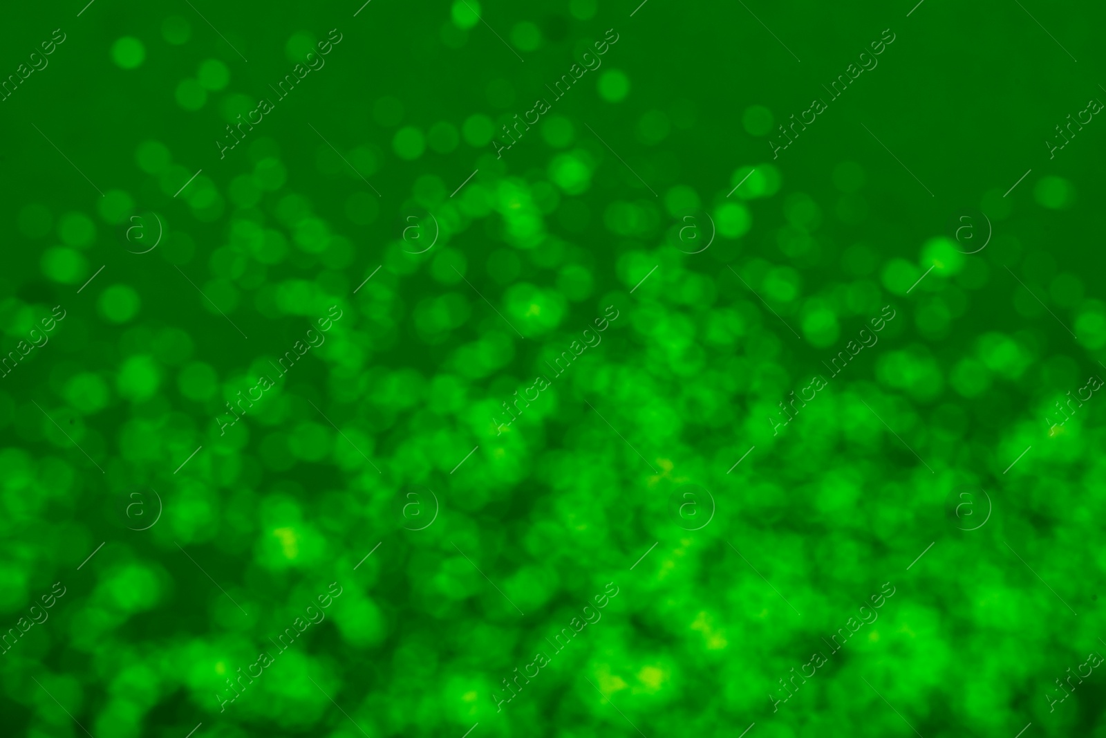 Image of St. Patrick day. Green background with blurred lights, bokeh effect