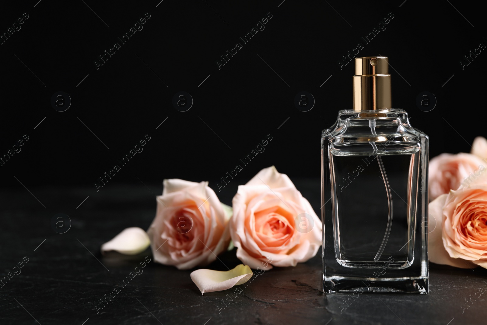 Photo of Bottle of perfume and beautiful roses on black table. Space for text