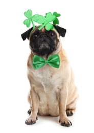 Cute pug dog with clover headband and bow tie on white background. St. Patrick's Day
