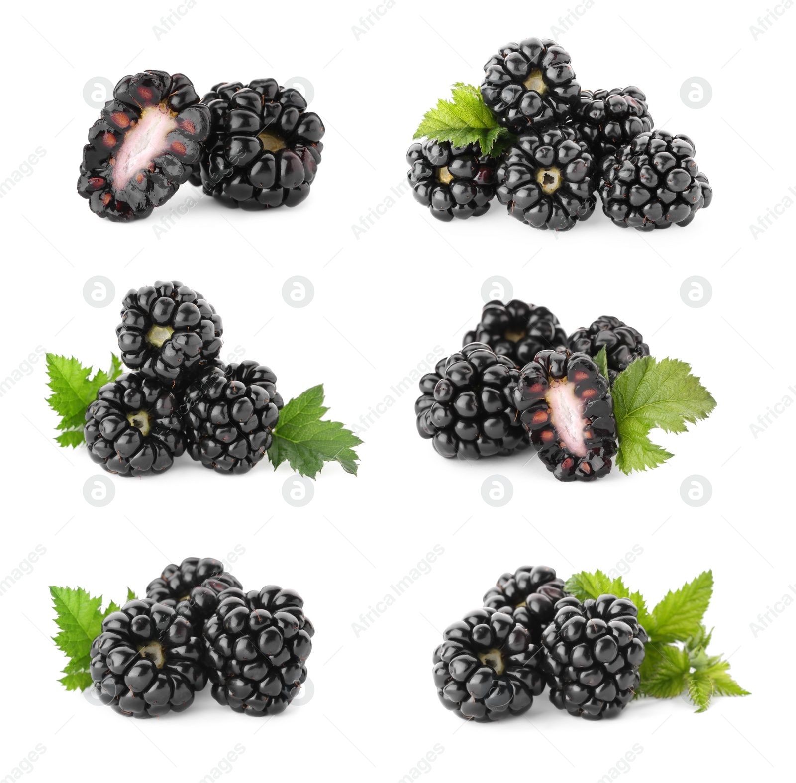 Set with delicious ripe blackberries on white background Image of Set with delicious ripe blackberries on white background