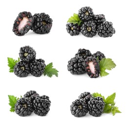 Image of Set with delicious ripe blackberries on white background