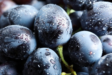 Bunch of fresh ripe juicy grapes as background. Closeup view