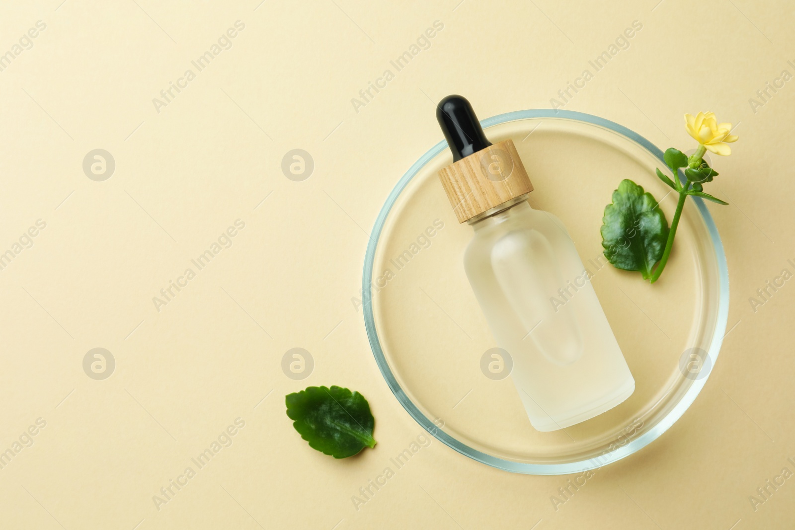 Photo of Petri dish with cosmetic product and flower on beige background, flat lay. Space for text