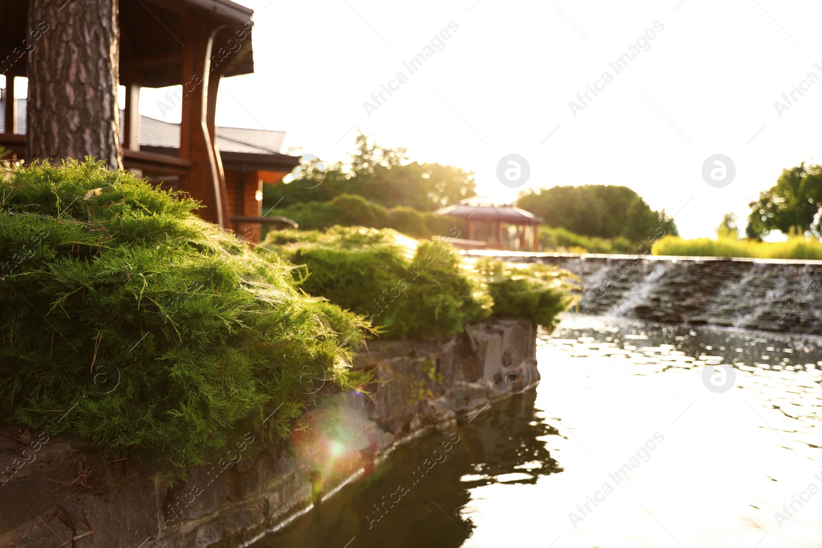 Photo of Picturesque landscape with beautiful lake on sunny day. Gardening idea