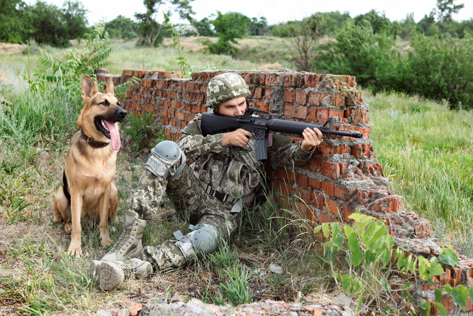 Photo of Man in military uniform with German shepherd dog at firing range