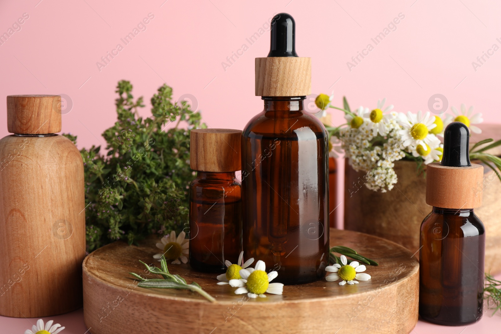 Photo of Aromatherapy. Different essential oils and flowers on pink background