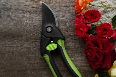 Secateur and beautiful roses on wooden table, flat lay