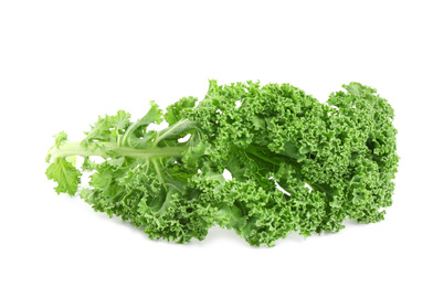 Photo of Fresh green kale leaf isolated on white